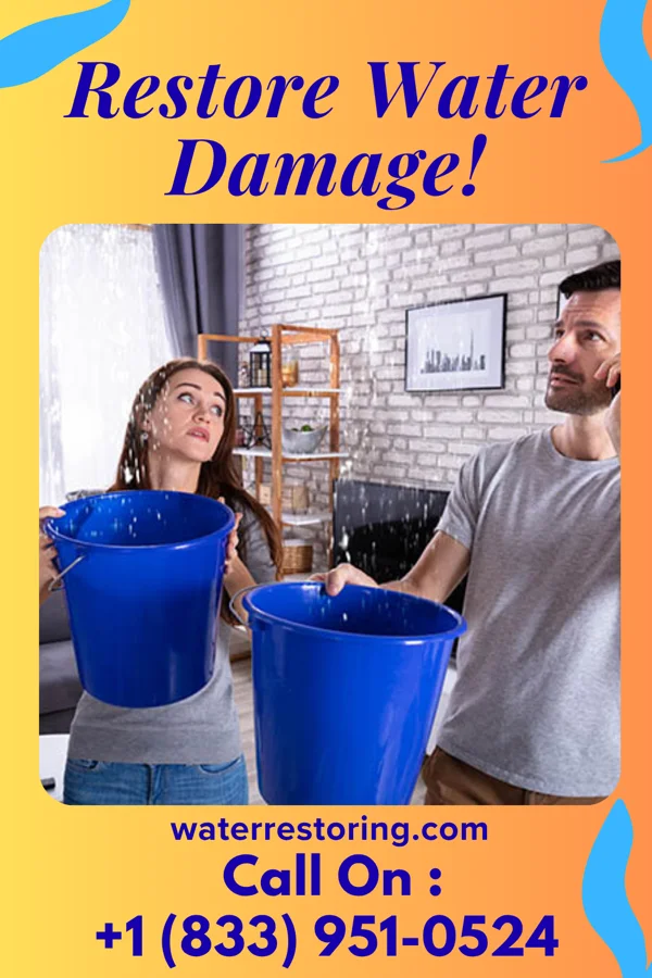 water restoration Complete Sewage Cleanup Solutions Mounds View