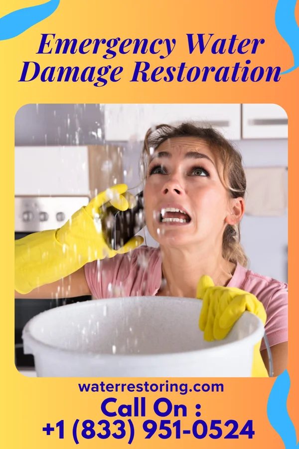 Emergency Water Damage Restoration in Mounds View, MN