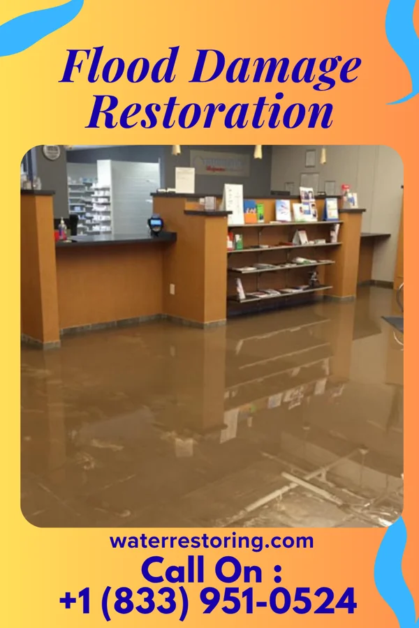 Flood Damage Restoration in Mounds View, MN