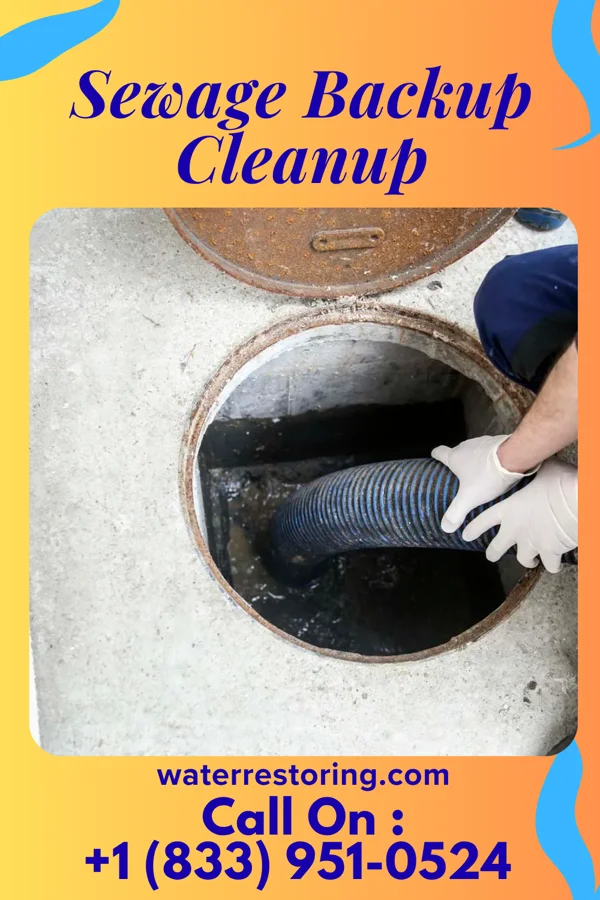 Sewage Backup Cleanup in Mounds View, MN