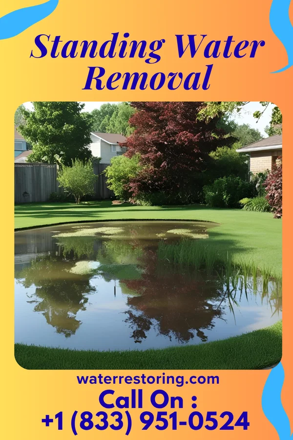 Standing Water Removal in Mounds View, MN